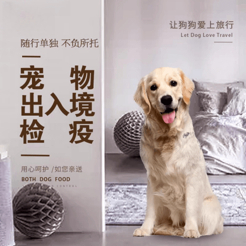 昆明宠物托运到哥伦比亚猫狗宠物入境规定和