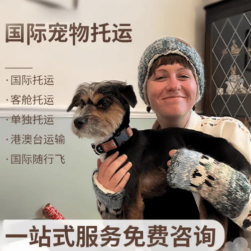 昆明国际宠物托运到阿根廷宠物入境规定和要