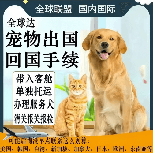 昆明宠物托运到柬埔寨宠物入境规定和要求