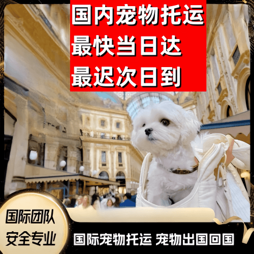 昆明到澳大利亚（澳洲）宠物入境规定和要求