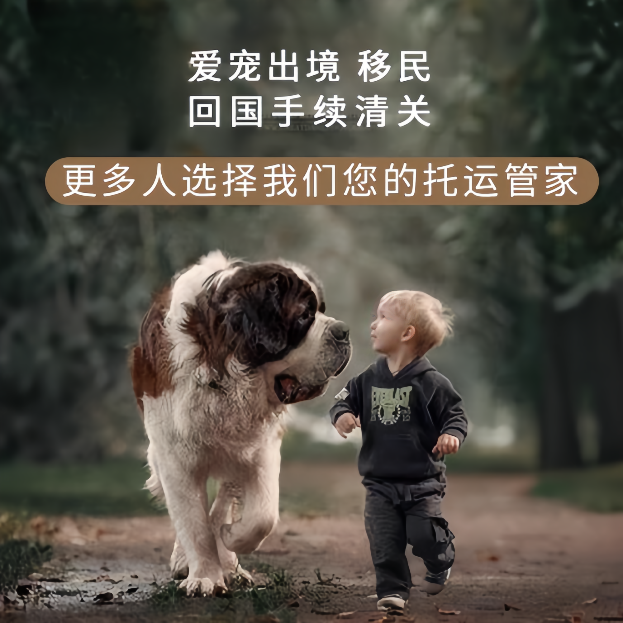 满财昆明宠物全球达宠物托运在遵守入境目的地政策的条件