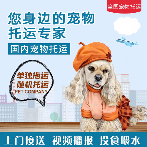 满财昆明宠物全球达宠物托运作为专业的宠物运输代理机构